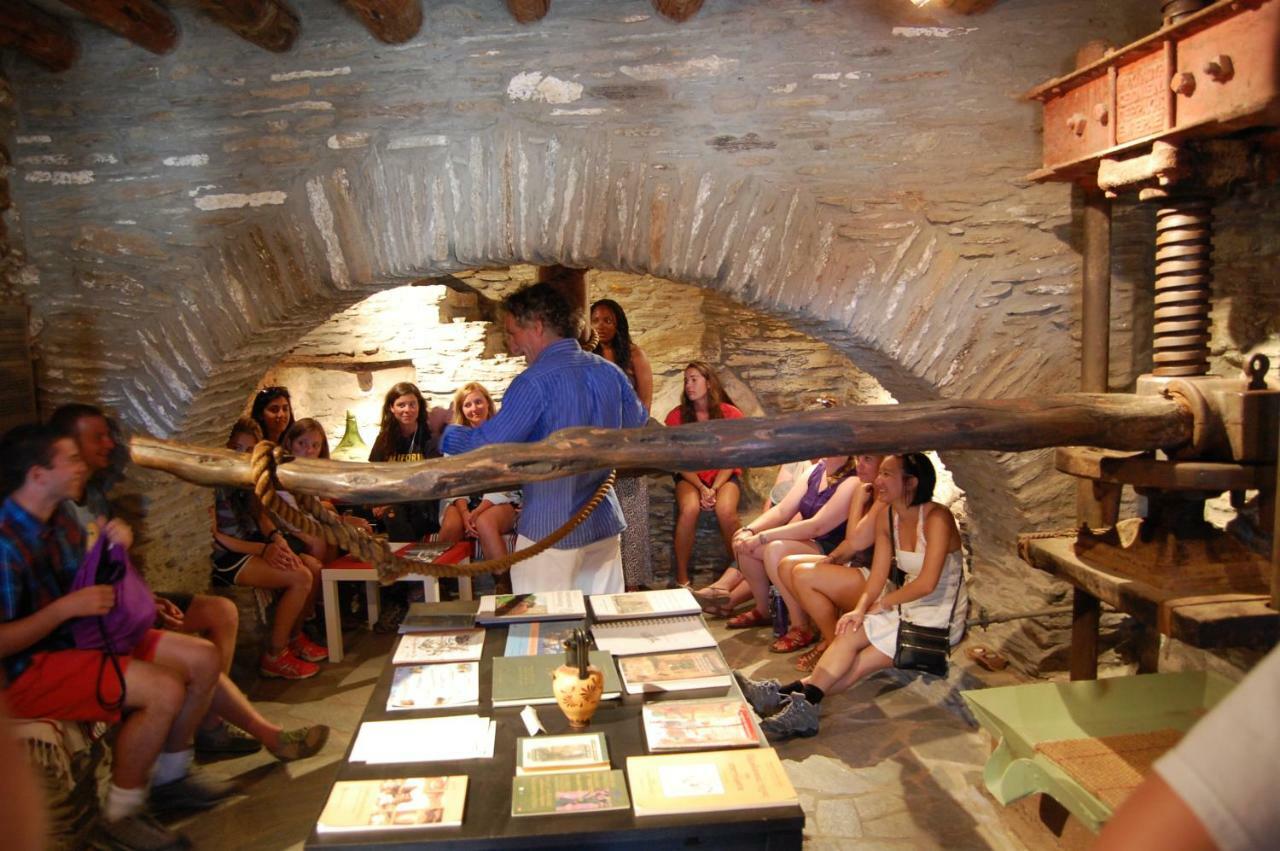 Cyclades Olive Museum's Guest House Pitrofos Extérieur photo
